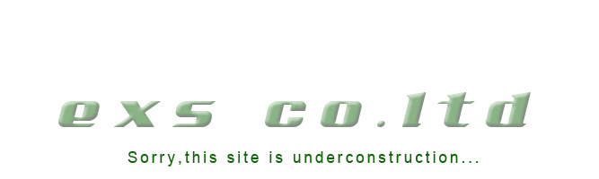 exs co.ltd-